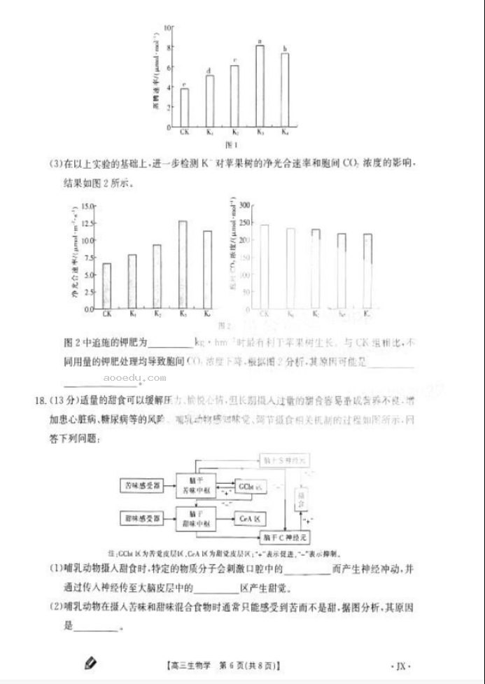 2024年9月江西金太阳高三第一次联考生物试题及答案解析