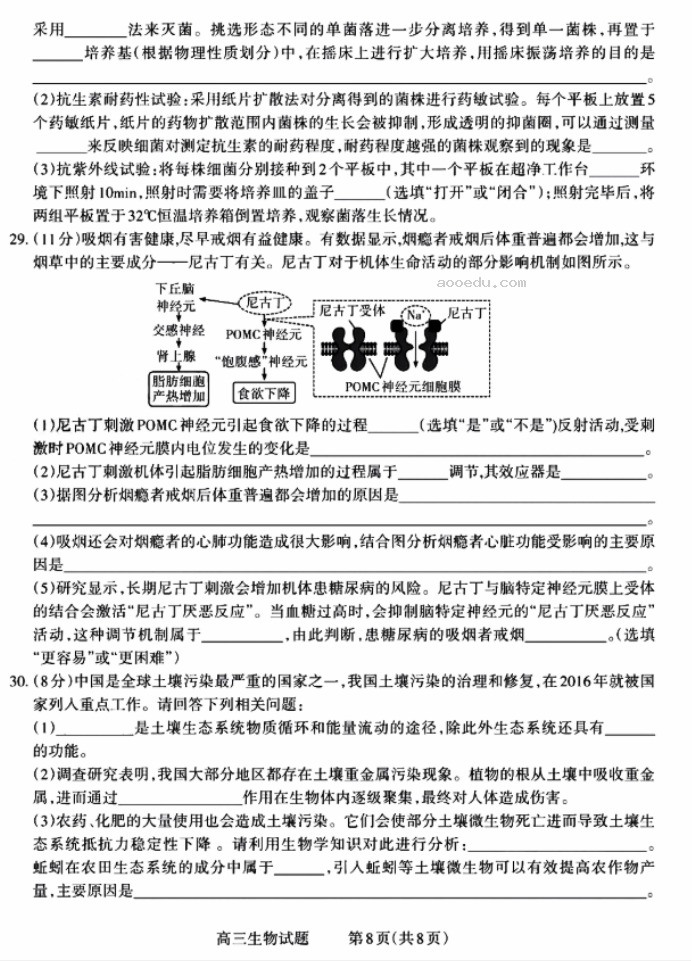 2024山西三重教育联盟高三9月联考生物试题及答案解析