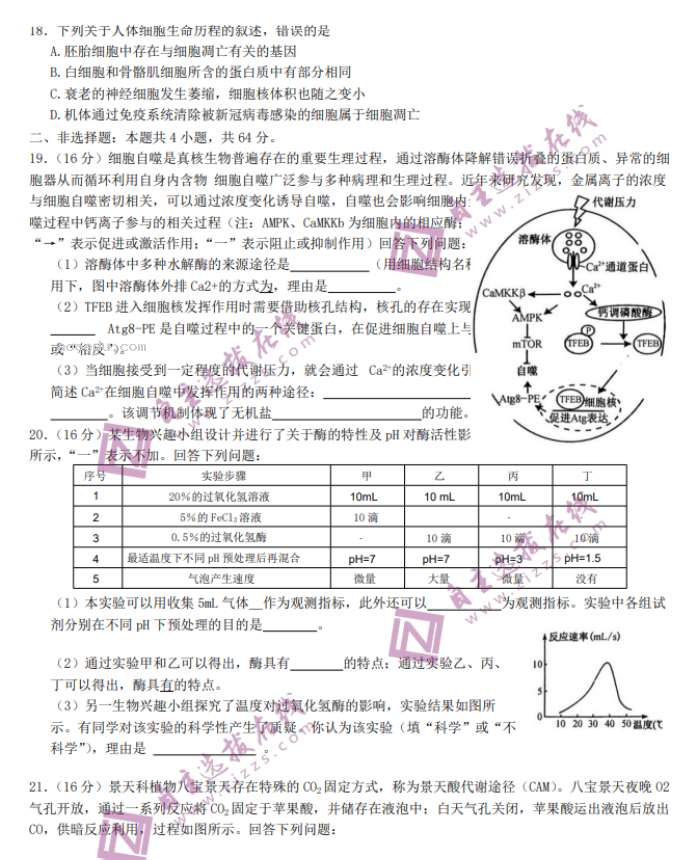 2024九师联盟高三核心模拟卷上生物试题及答案解析