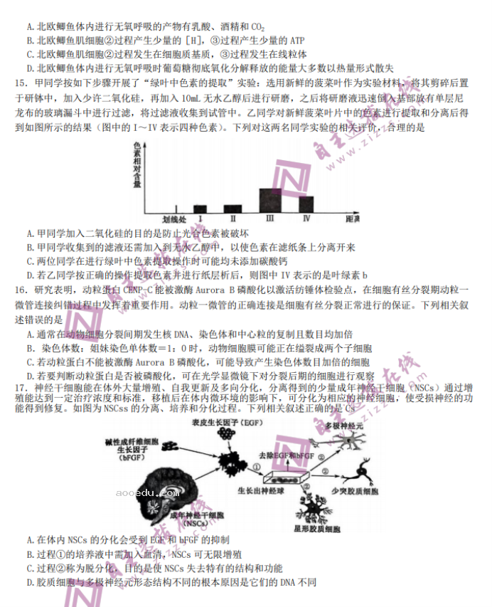 2024九师联盟高三核心模拟卷上生物试题及答案解析