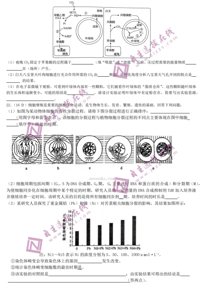 2024九师联盟高三核心模拟卷上生物试题及答案解析