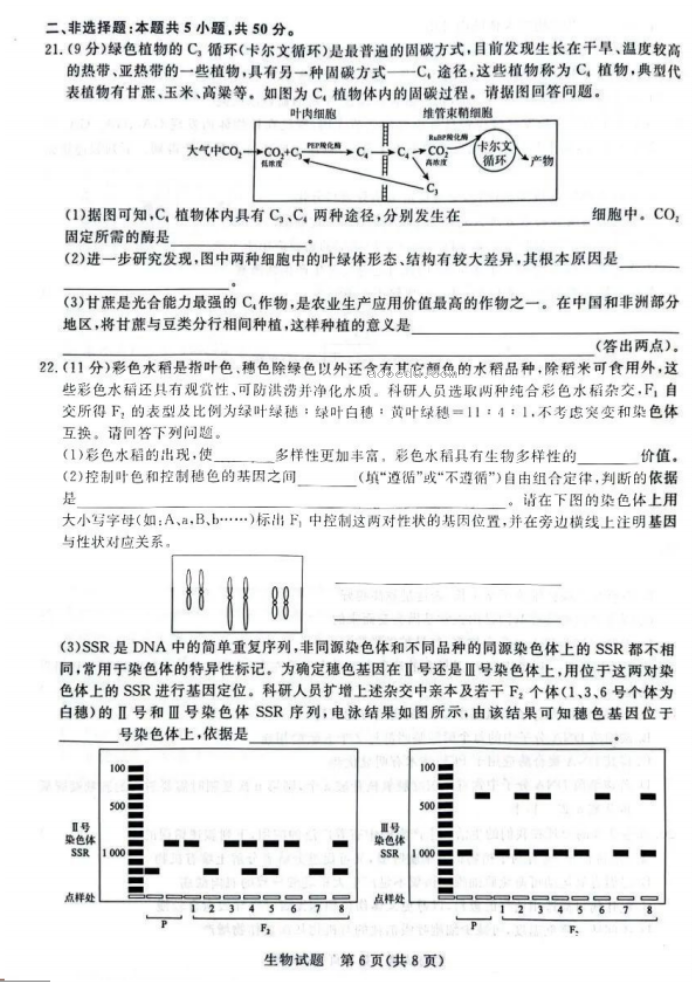 2024届高三青桐鸣大联考9月考试生物试题及答案解析