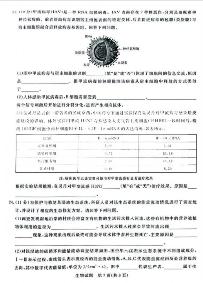 2024届高三青桐鸣大联考9月考试生物试题及答案解析