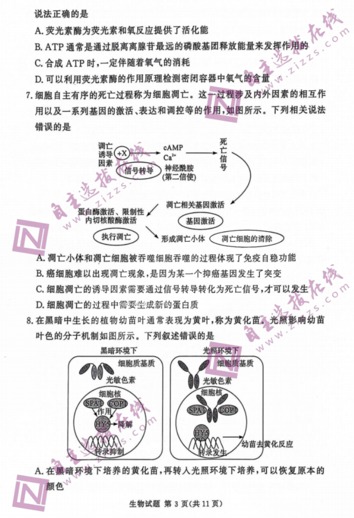 湘豫名校2024届高三9月联考生物试题及答案解析