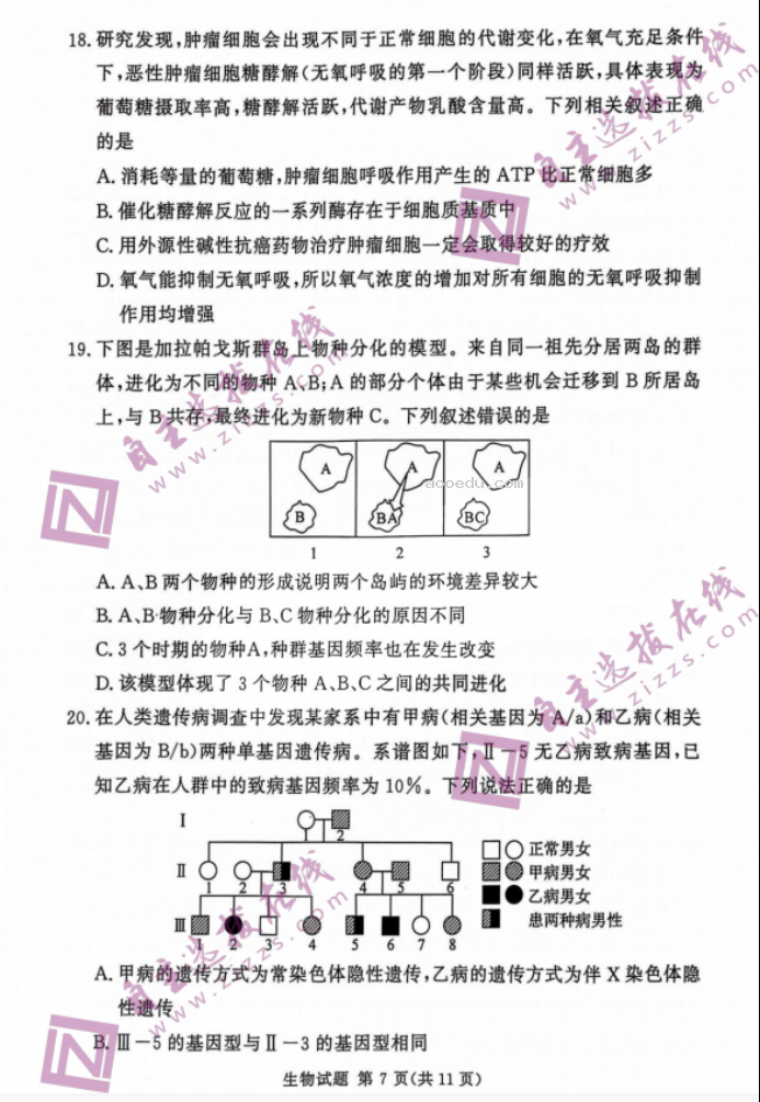 湘豫名校2024届高三9月联考生物试题及答案解析