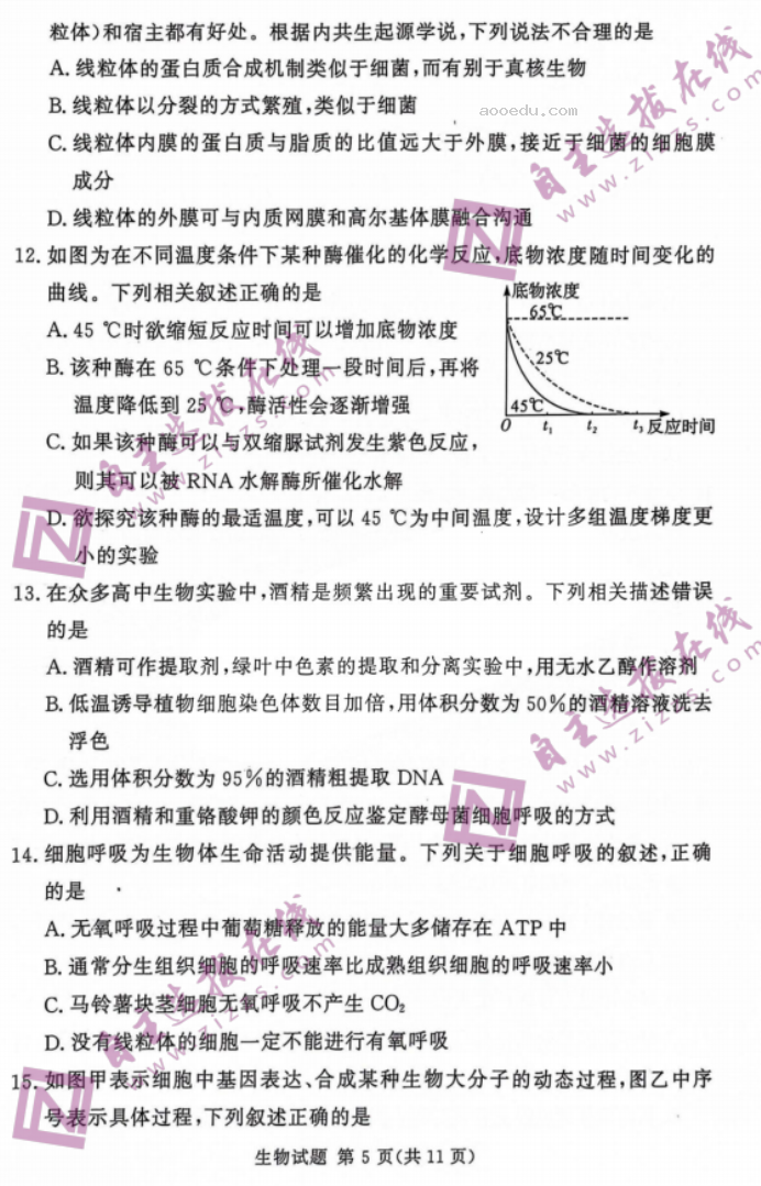 湘豫名校2024届高三9月联考生物试题及答案解析