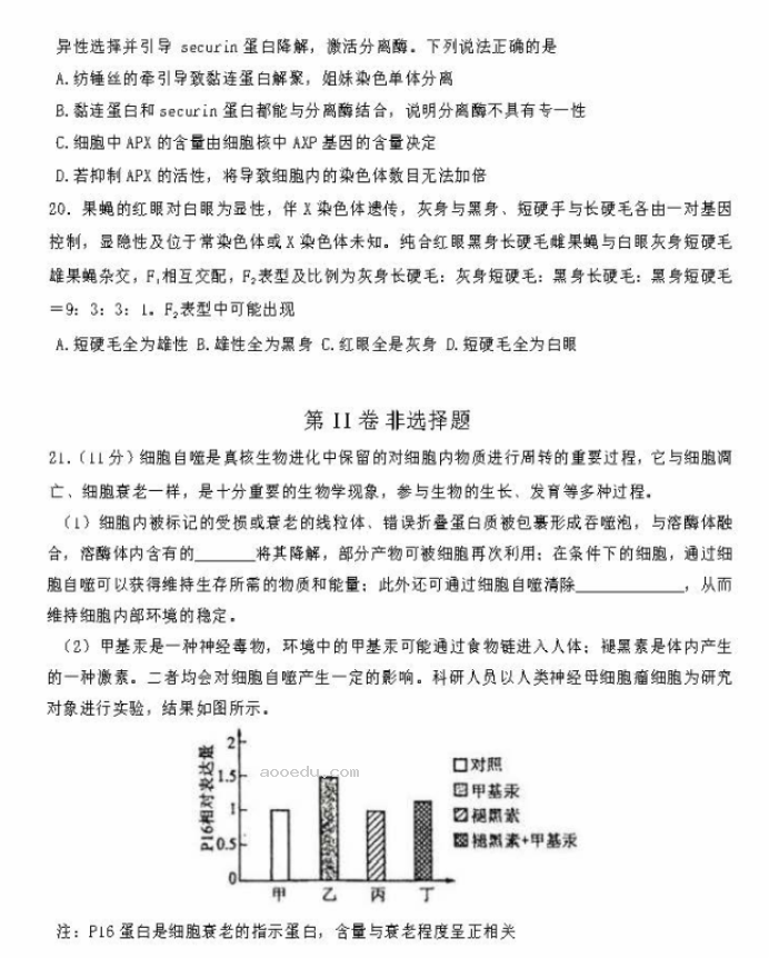 2024东北师大附中高三第一次摸底考生物试题及答案