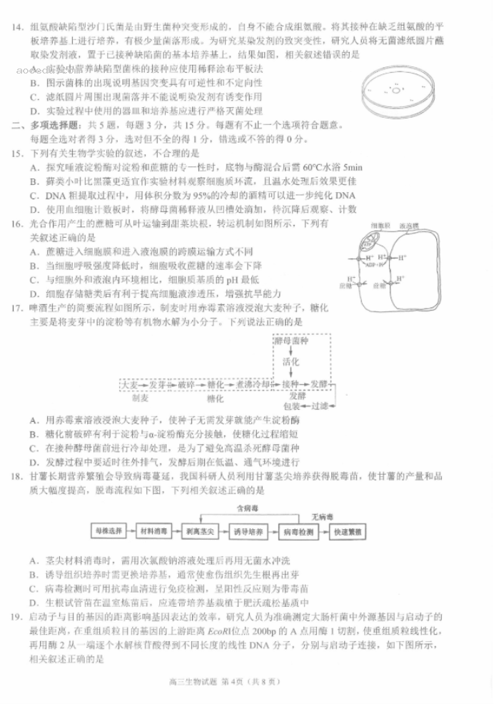 江浙高中发展共同体2024高三10月联考生物试题及答案(江苏卷)