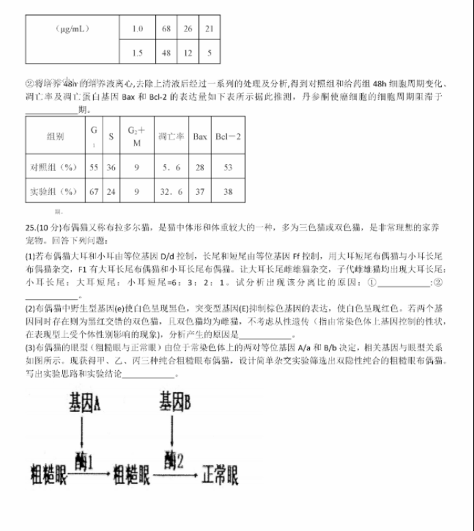 山东德州一中2024高三上学期10月月考生物试题及答案