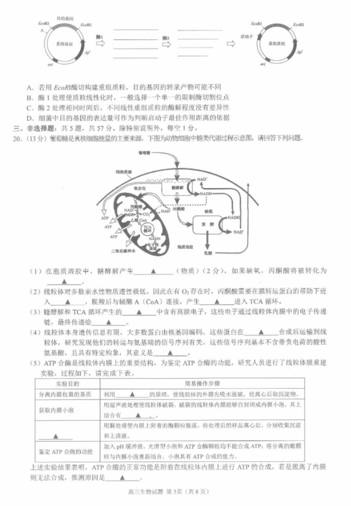 江浙高中发展共同体2024高三10月联考生物试题及答案(江苏卷)