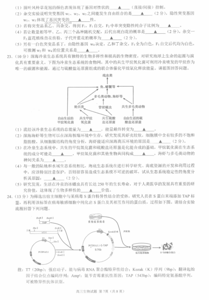 江浙高中发展共同体2024高三10月联考生物试题及答案(江苏卷)