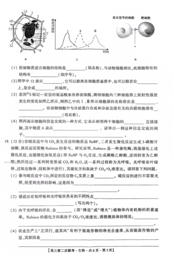 先知高***2024高三第二次联考生物试题及答案解析