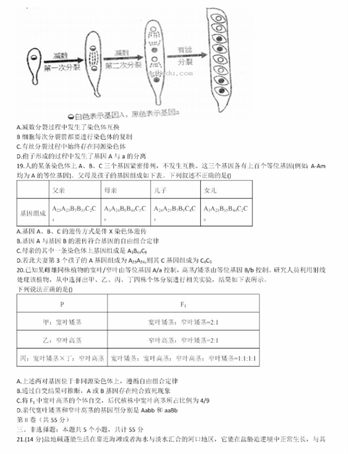 山东德州一中2024高三上学期10月月考生物试题及答案