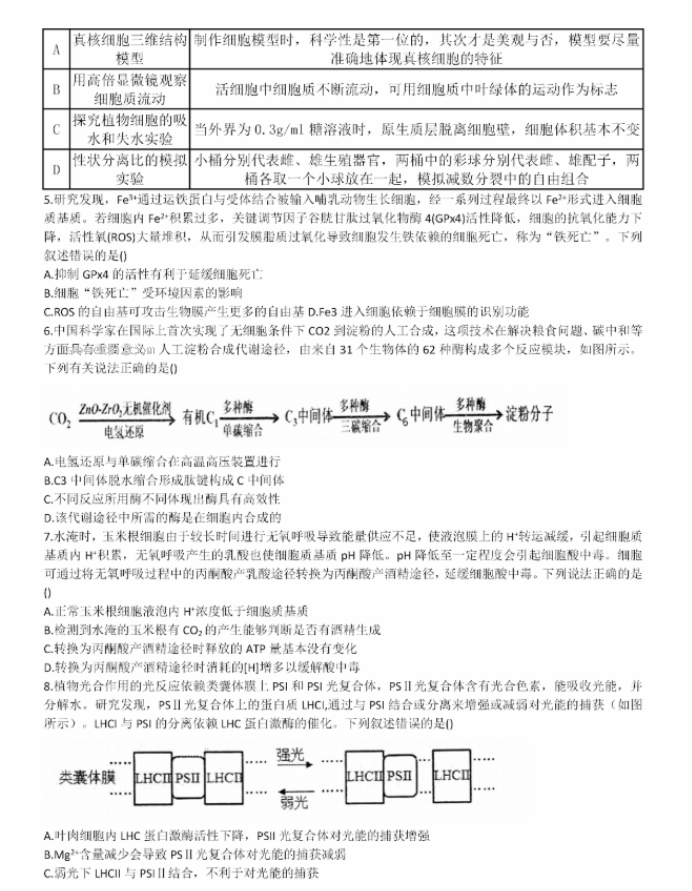 山东德州一中2024高三上学期10月月考生物试题及答案