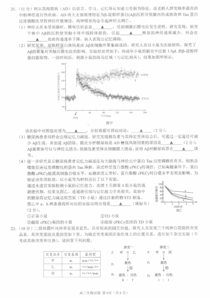 江浙高中发展共同体2024高三10月联考生物试题及答案(江苏卷)