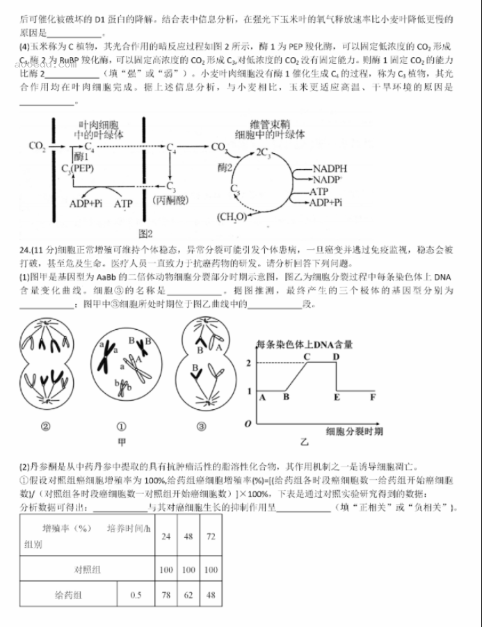 山东德州一中2024高三上学期10月月考生物试题及答案