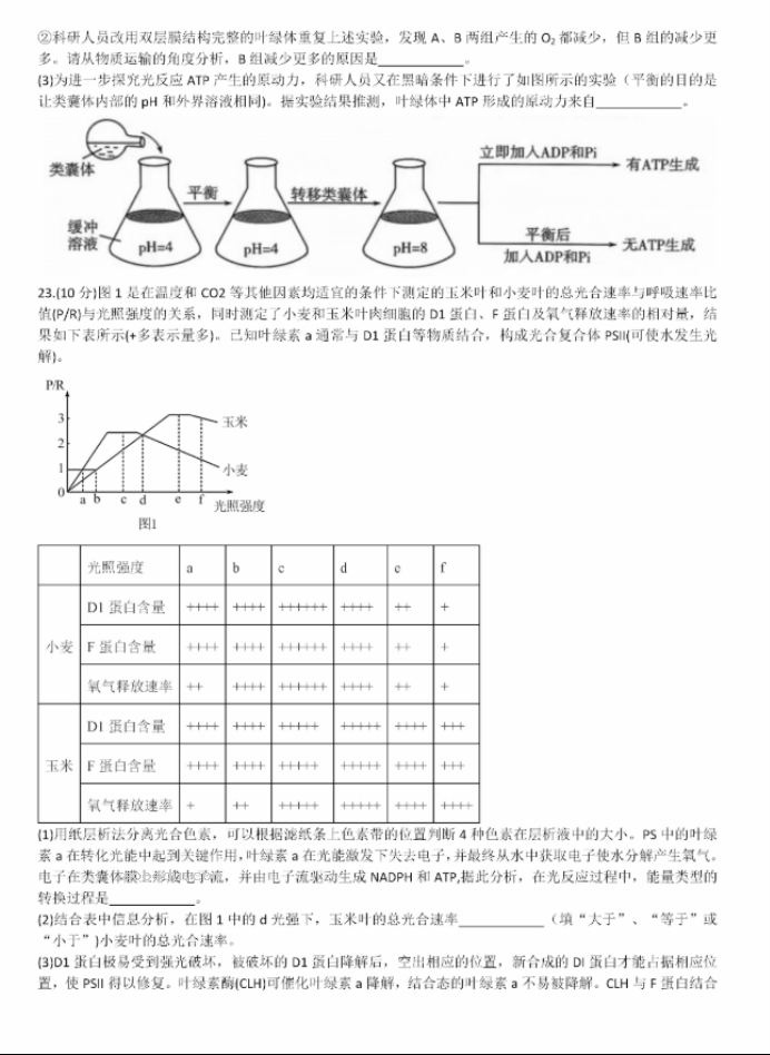 山东德州一中2024高三上学期10月月考生物试题及答案