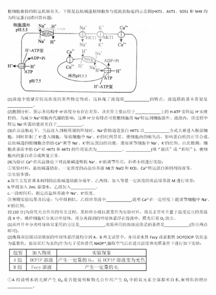 山东德州一中2024高三上学期10月月考生物试题及答案