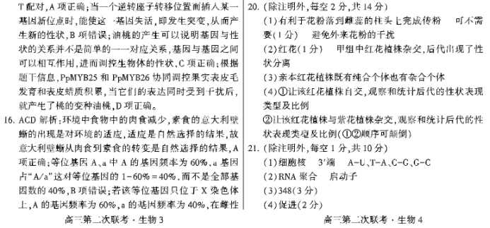 先知高***2024高三第二次联考生物试题及答案解析