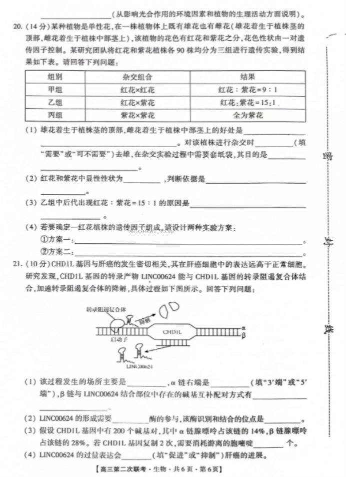 先知高***2024高三第二次联考生物试题及答案解析