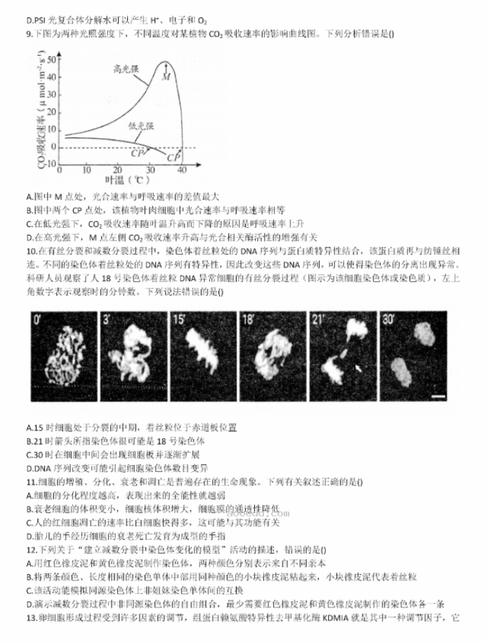 山东德州一中2024高三上学期10月月考生物试题及答案