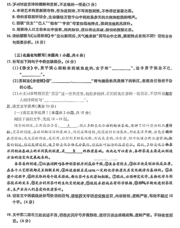 安徽省鼎尖名校2024高三10月联考语文试题及答案解析