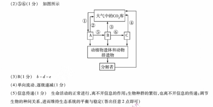 安徽皖豫名校联盟2024高三10月联考生物试题及答案解析