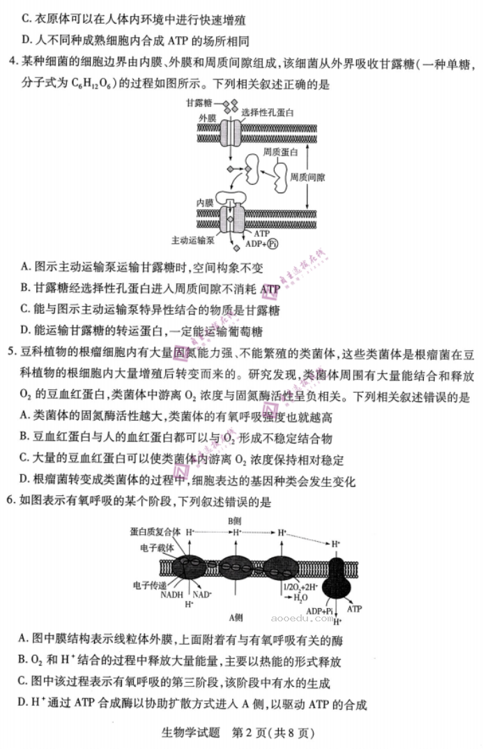 安徽皖豫名校联盟2024高三10月联考生物试题及答案解析