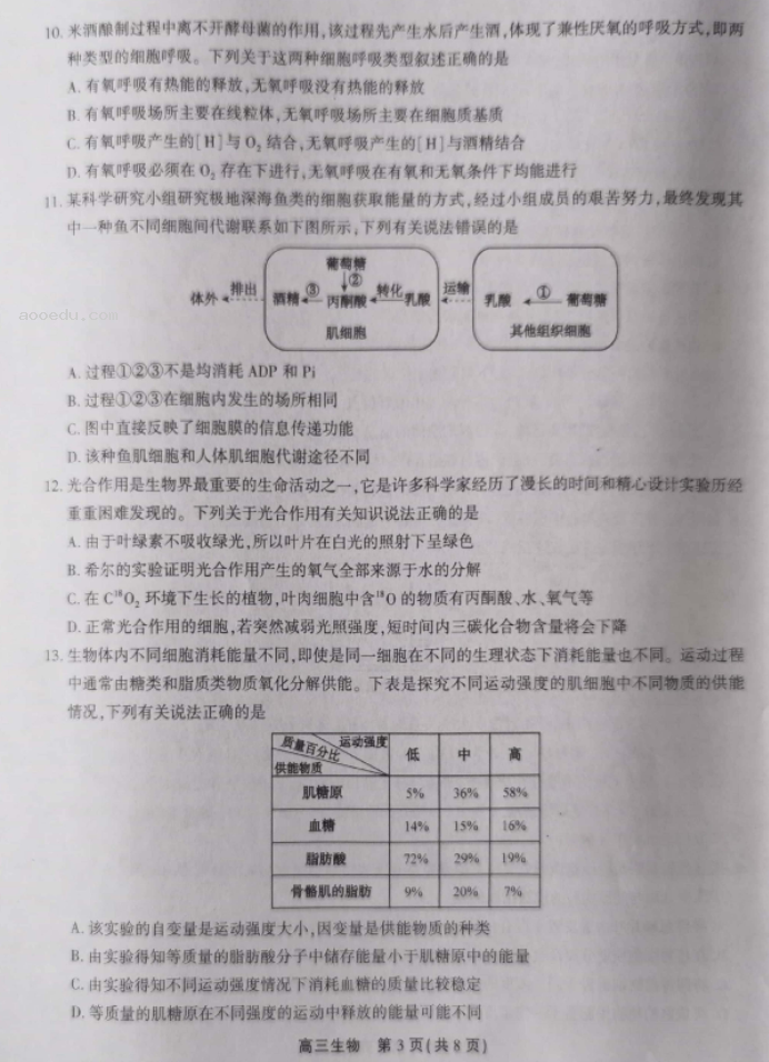 安徽省鼎尖名校2024高三10月联考生物试题及答案解析