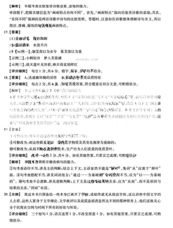 安徽省鼎尖名校2024高三10月联考语文试题及答案解析