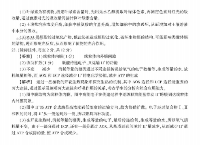 安徽省鼎尖名校2024高三10月联考生物试题及答案解析