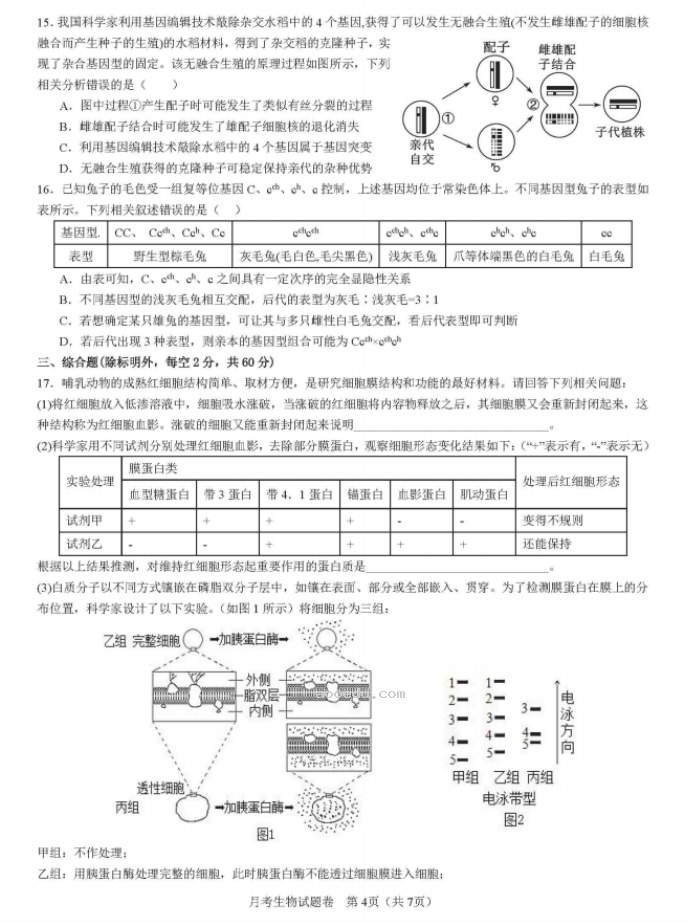 湖南省衡阳八中2024高三10月月考生物试题及答案解析