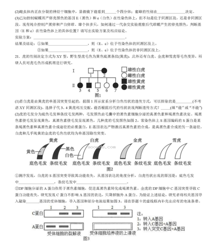 湖南省衡阳八中2024高三10月月考生物试题及答案解析