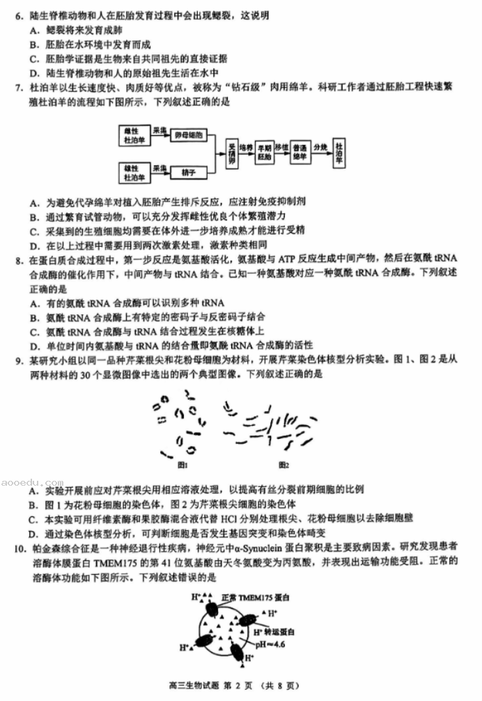 江浙高中发展共同体2024高三10月联考生物试题及答案(浙江卷)