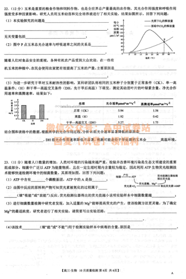 安徽师徽联盟2024届高三10月质量检测生物试题及答案