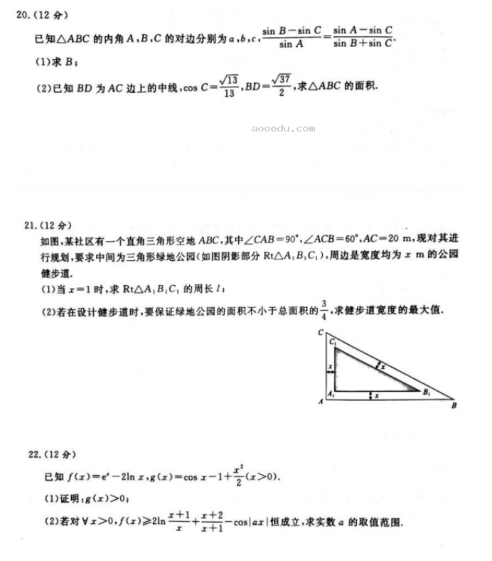 河南青桐鸣2024高三10月大联考数学试题及答案解析