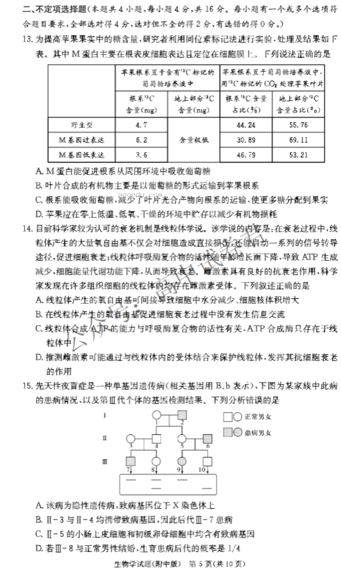 湖南师大附中2024高三月考(二)生物试题及答案解析