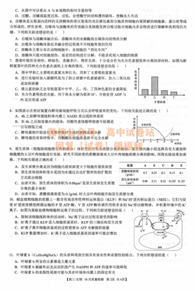 安徽师徽联盟2024届高三10月质量检测生物试题及答案