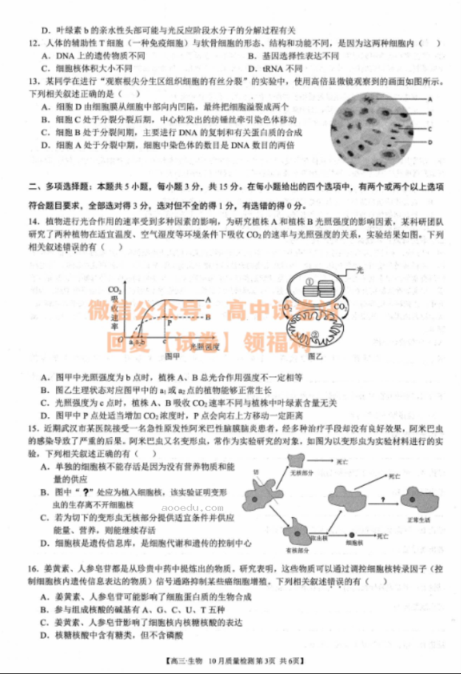 安徽师徽联盟2024届高三10月质量检测生物试题及答案