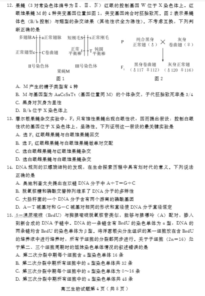 山东潍坊2024高三10月过程性检测生物试题及答案解析