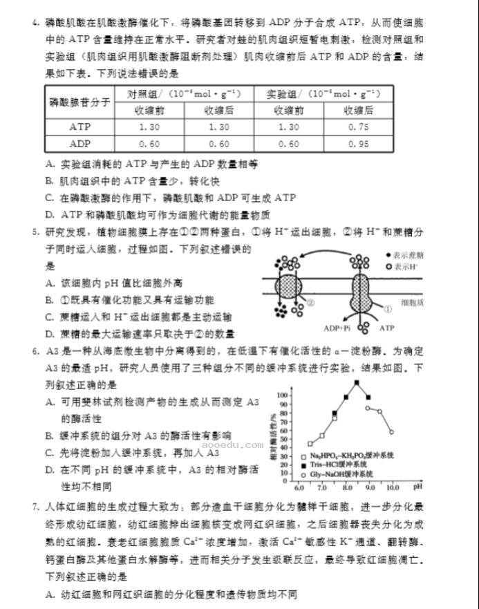 山东潍坊2024高三10月过程性检测生物试题及答案解析