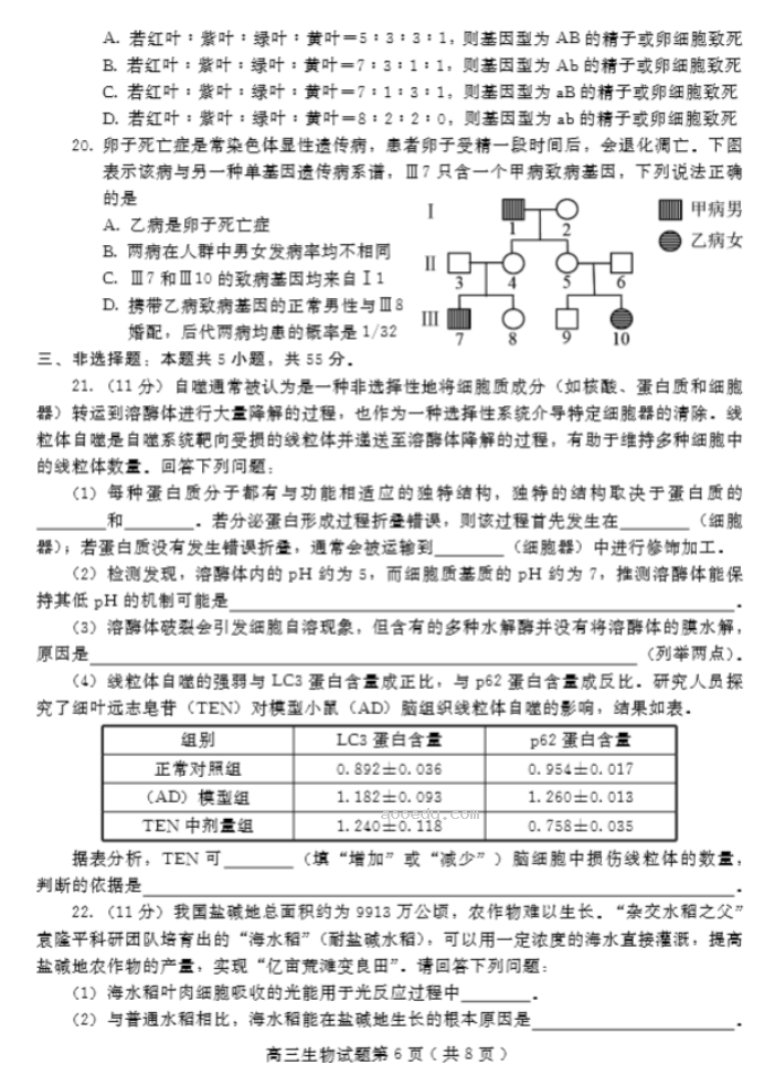 山东潍坊2024高三10月过程性检测生物试题及答案解析