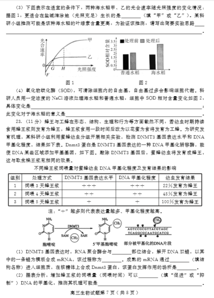 山东潍坊2024高三10月过程性检测生物试题及答案解析