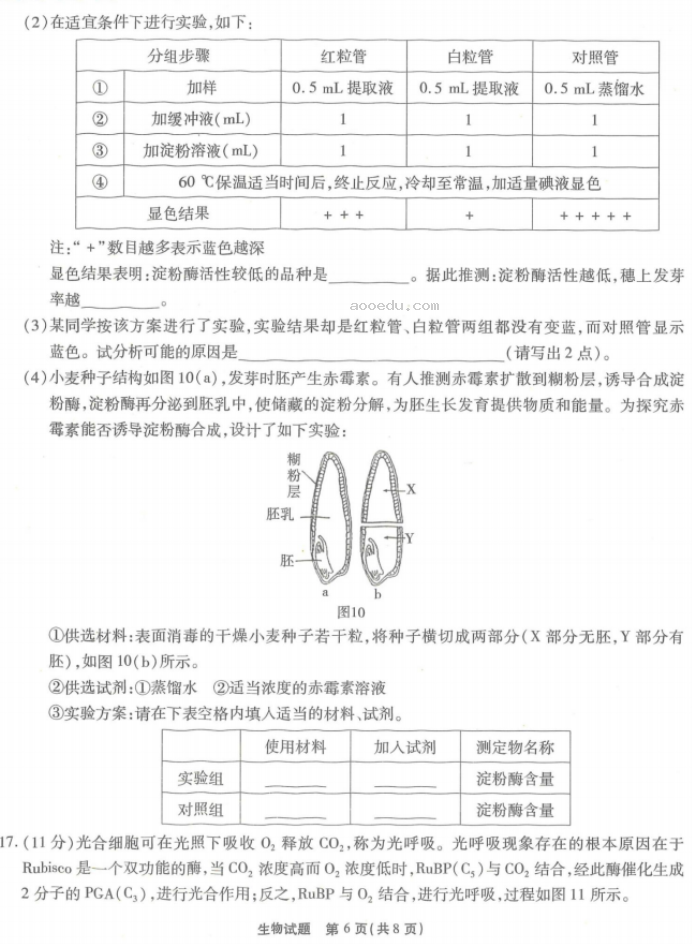 重庆南开中学2024高三第二次质量检测生物试题及答案解析