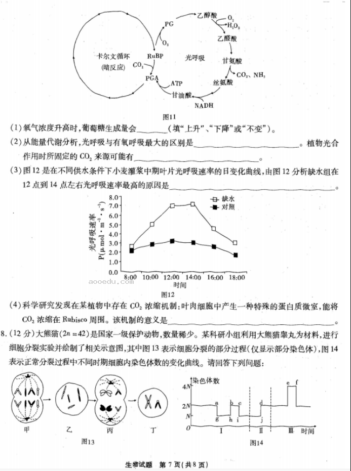 重庆南开中学2024高三第二次质量检测生物试题及答案解析