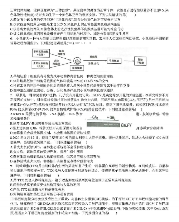 湖北省宜荆荆随2024高三10月联考生物试题及答案解析