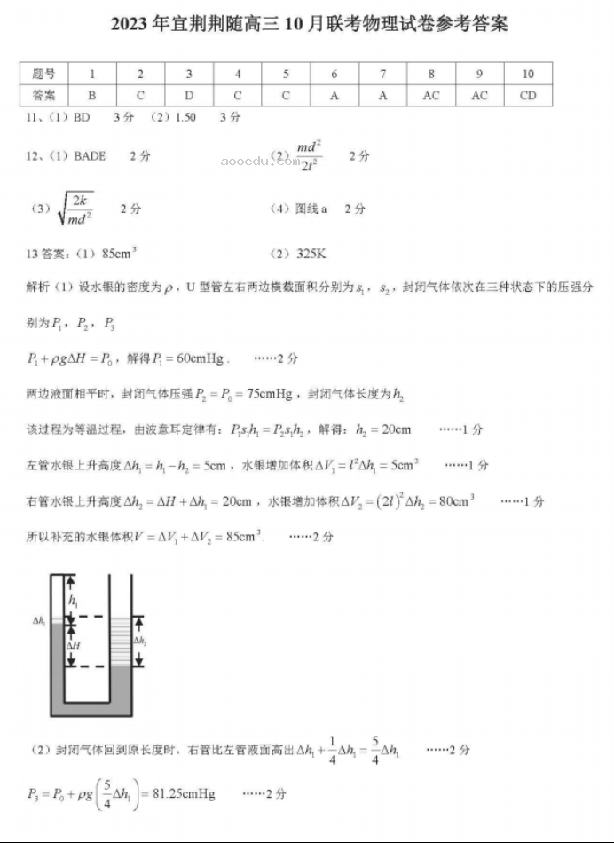 湖北省宜荆荆随2024高三10月联考物理试题及答案解析