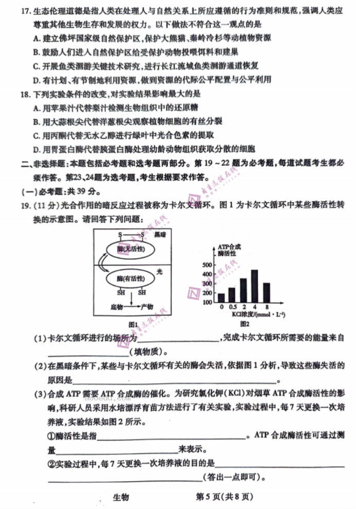 陕西天一大联考2024高三10月阶段性测试生物试题及答案