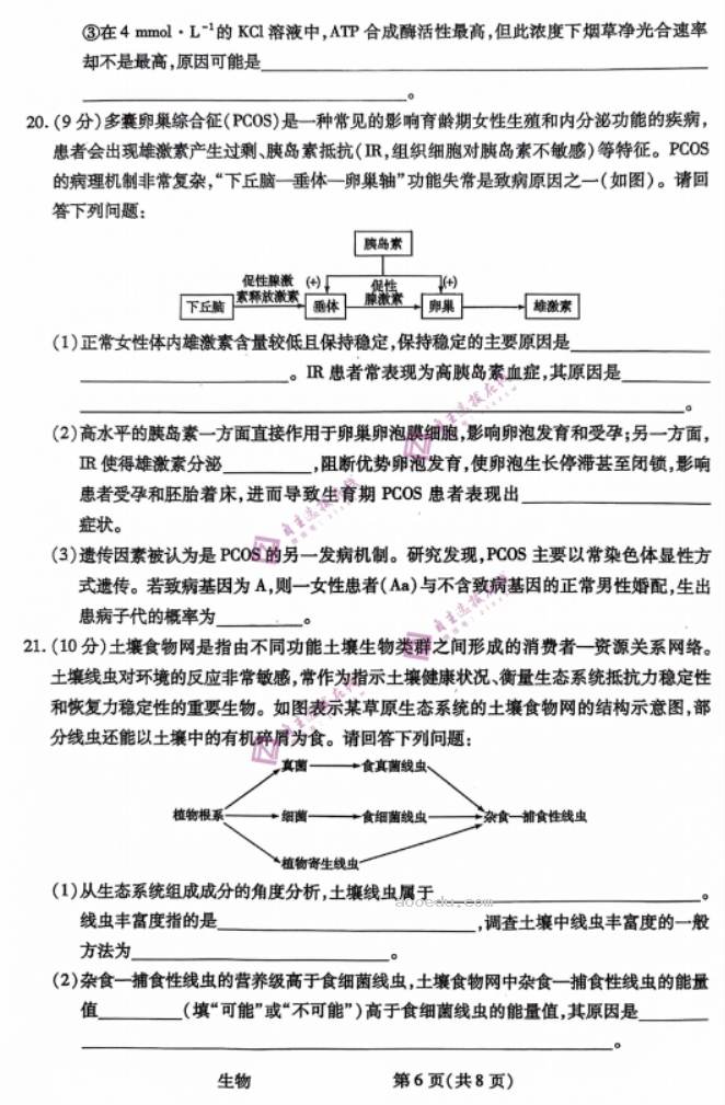 陕西天一大联考2024高三10月阶段性测试生物试题及答案