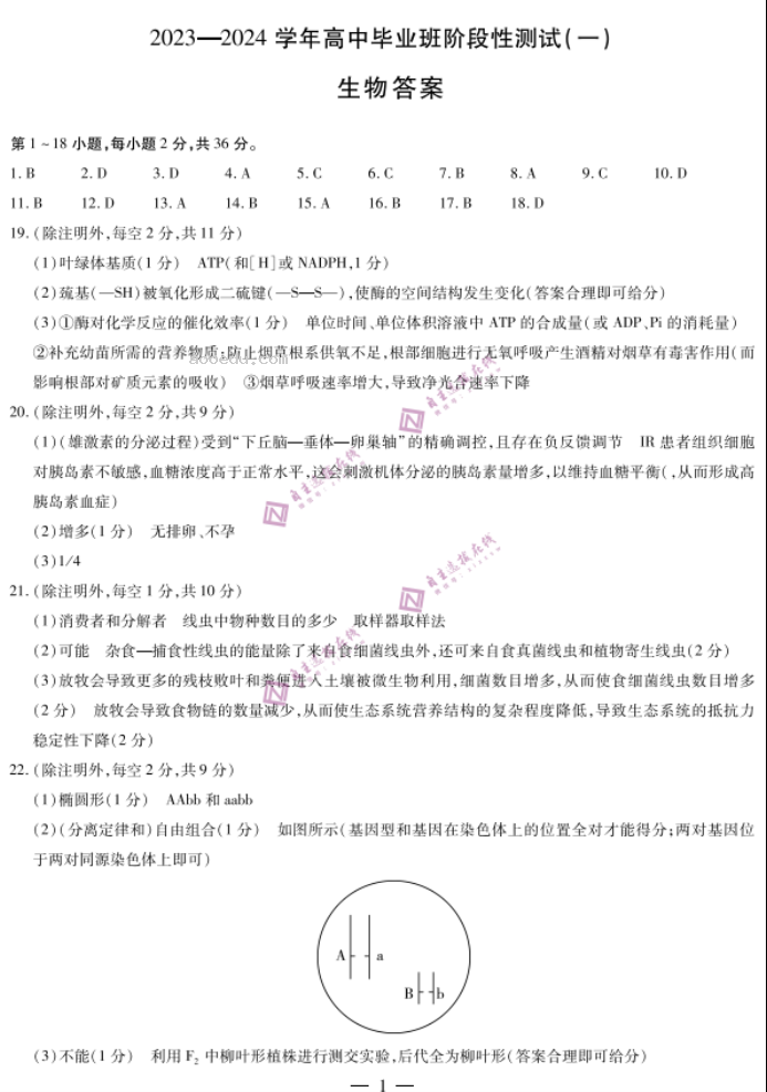 陕西天一大联考2024高三10月阶段性测试生物试题及答案